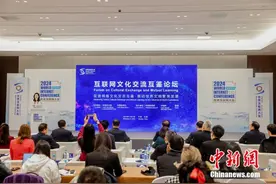 以网为桥联结世界，中外大咖共话文化交流互鉴图片
