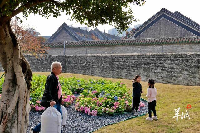 靓！广州陈家祠片区大变样！记者带你实地探“新景”｜记者走访