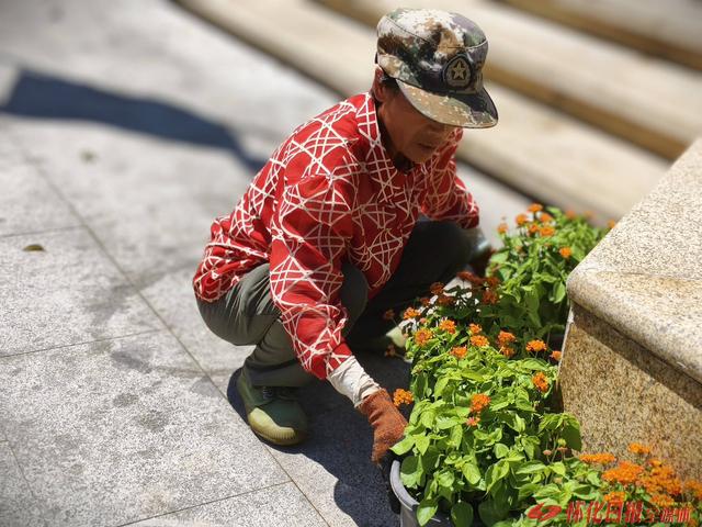 福地怀化 懂你如家｜鲜花满街迎盛会