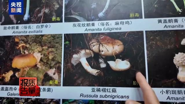 一天超万名游客进山！这个旅游项目爆火，专家警告：一旦破坏就“断子绝孙”了