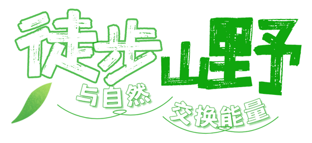 “神兽”已归笼，家长们是时候给自己放个假了