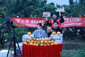 电商快车让这里的特产“飞”往千家万户图片