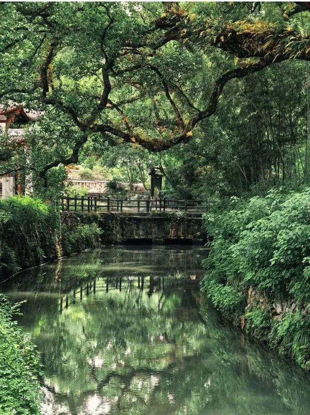 秋假去哪玩？是时候来莲都“躺平”了！