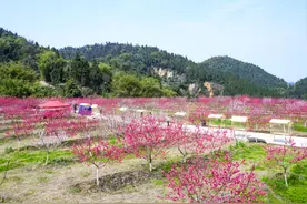 第三届寻春消费旅游季即将启幕 重庆巴南邀你共赴春日好时光图片