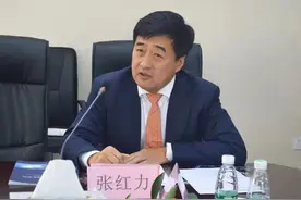 调查终结！他被依法逮捕图片