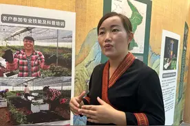 在“中国瑶医药之乡”推动瑶药材种植标准化图片
