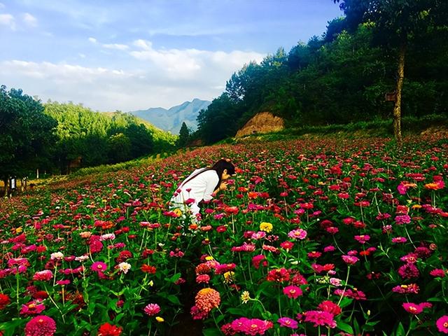 河南省（三门峡市）卢氏县 美丽乡村自由山水游