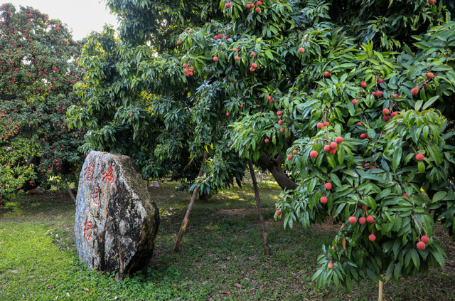 跟着《珠江》游增城！纪录片里的这些地方，一定要打卡