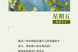 作家日签 | 林雪：如今，那些微小的东西何在？图片