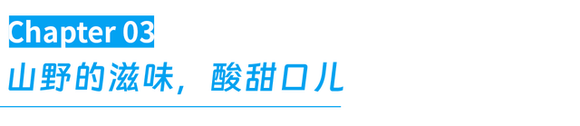 最懂松弛的北京中产，在内蒙玩得太“土”了