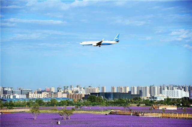 “新”动新区，这份「青春漫游指南」请查收！