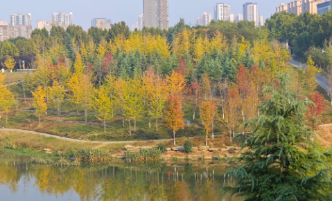 抓住秋天的尾巴！郑州秋日美景观赏地推荐！