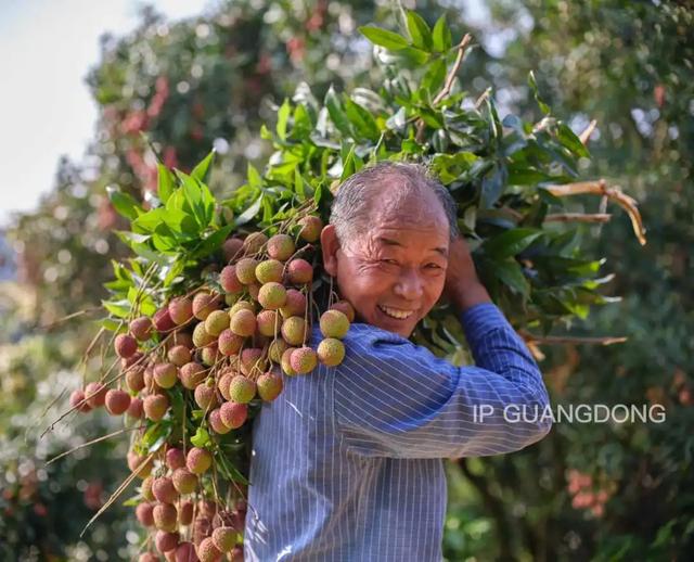 粤西向海，绘就湛蓝新画卷