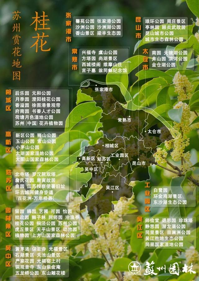 桂香满城！苏州发布官方桂花赏花地图