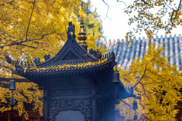 北京八大处大悲寺：银杏撒“金”映古建