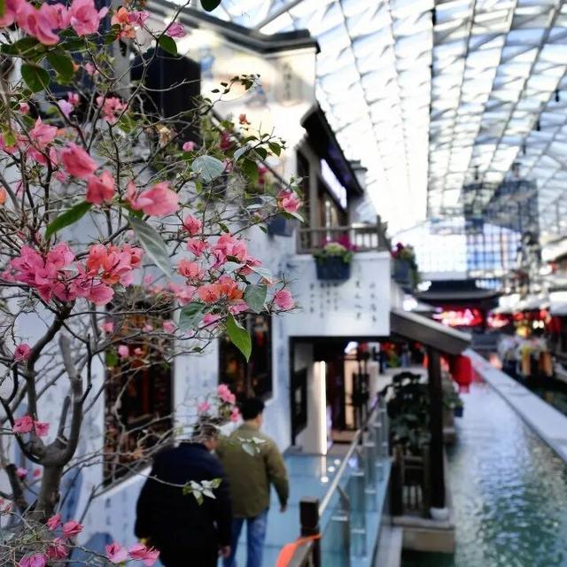 现场 || 不必下江南！今天，银川解锁塞上江南烟雨中的恒温诗意！