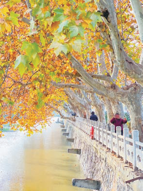 多亏了他们，最近一群丹阳人扎堆来这里！再不抓紧就晚了……