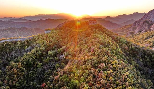 彩叶映长城 共绘秋景画