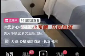 山西一五星级酒店被指“盗用”画作装饰客房，当事画家表示将起诉维权图片