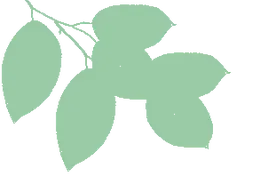 市交通集团2024年劳动节假期出行服务指南图片