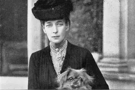 【史海回眸】中国哈巴狗曾是英国奢侈品图片