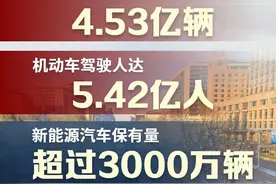 超3000万辆！我国新能源汽车保有量高速增长图片