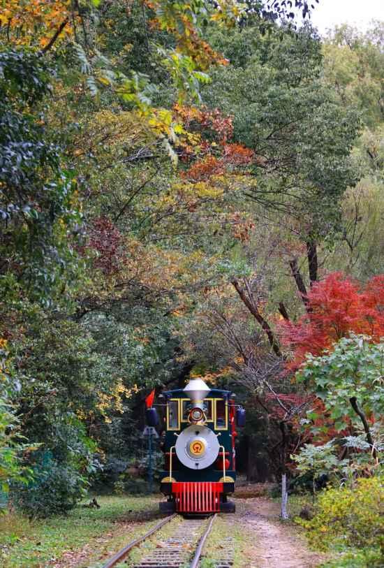 漫步这座“莫奈花园”，邂逅申城油画里的秋天