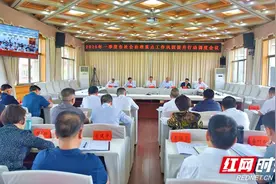 邵阳市一季度社会治理重点工作巩固提升行动调度会议召开图片