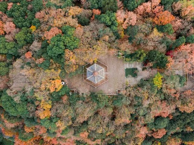 落叶基础，不“扫”兴的余杭就不基础