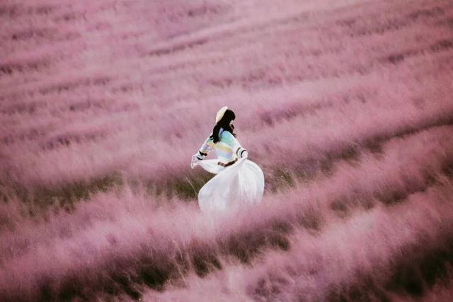 荆州赏秋地图｜不止中心城区！荆州县域秋景图鉴出炉，N个绝美点位等你来打卡！