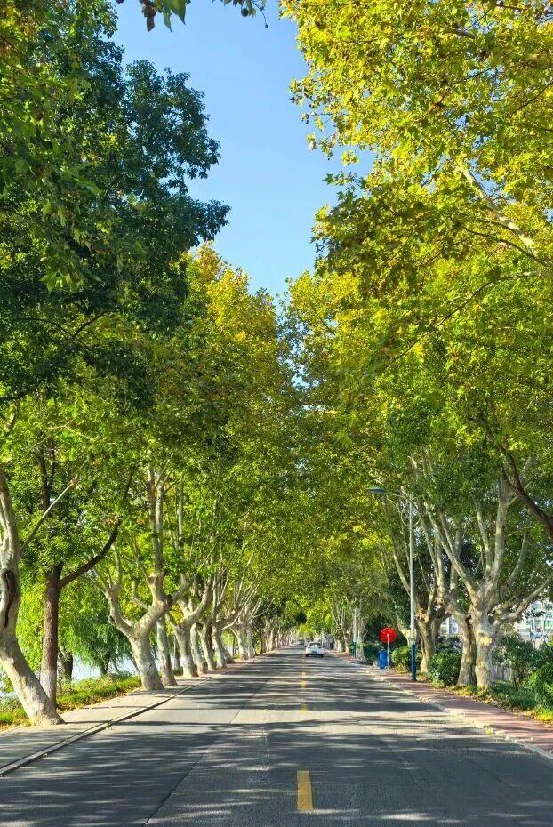 @高邮人 邀请您找寻心中的……