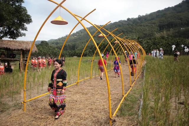 多图+视频！一起回看2025年白沙“啦奥门”雨林与您山兰文化活动精彩瞬间