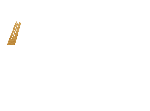 参观公告丨您有一份西安博物院元旦参观指南请签收