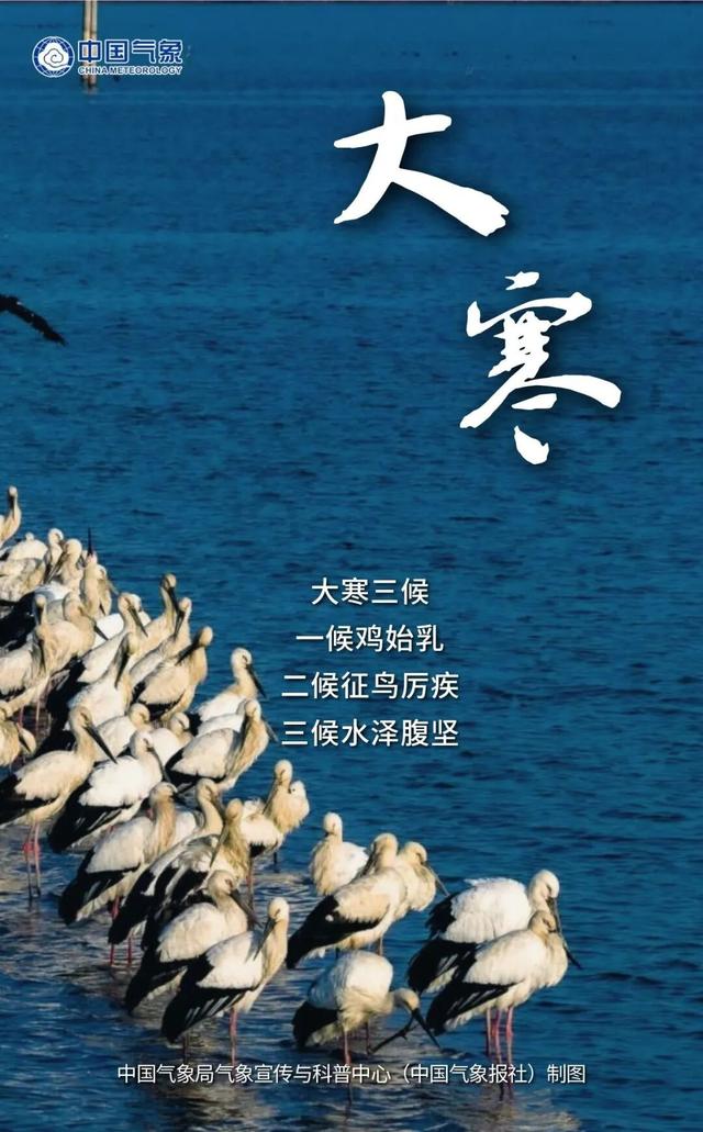 岁暮天寒 静候春归丨大美中国 气象万千