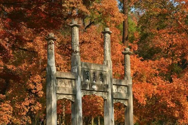 苏州的秋天，给你点“颜色”看看！