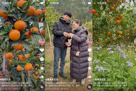 当300万粉丝遇上3000棵果树，“鑫鑫爱生活”在快手写下农村直播电商新样本图片