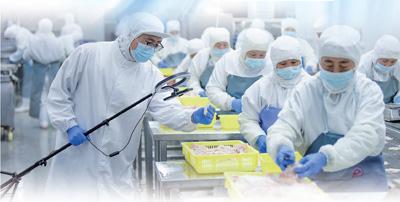 福生胶原蛋白肽粉价格 2025年福生美食胶原蛋白肽粉