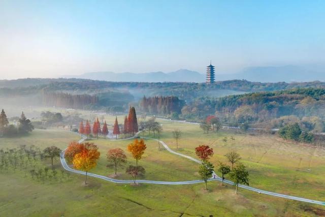 实力“出圈”！超半数游客为无锡跨省而来