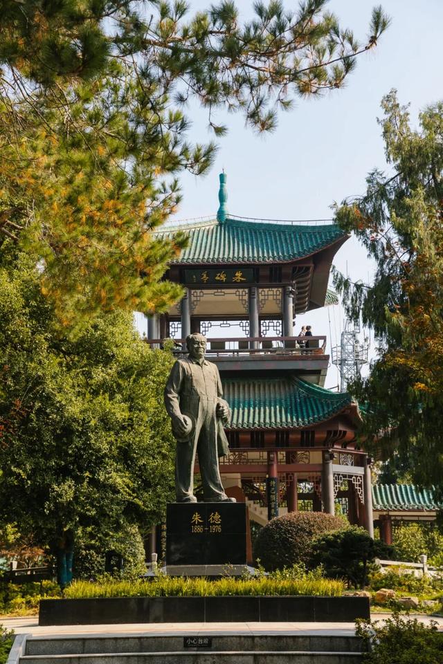 东湖秋日图鉴③｜磨山秋笺：一叶一诗，帧帧藏秋韵