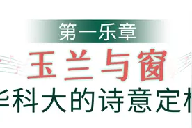武汉早春四重奏暴击！玉兰窗景、单车骑行、咖啡慢调……第四重绝了图片