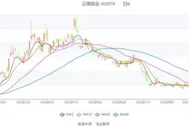 云南铜业：2024年上半年净利润同比增长4.87% 拟10派0.3元图片
