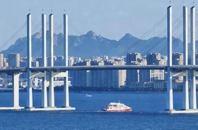 开航即火爆！“海上穿越大桥”航线攻略来啦，速速码住！