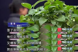 居家拍摄、轻松高薪？80余人陷入模特招聘陷阱……图片
