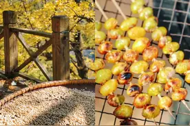 贵州山色丨在贵州，我捡到可以吃的“秋天”图片