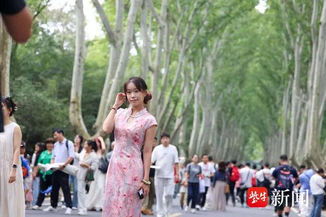 钟山风景区游客留下感谢信，周边居民点赞出行道路更畅通