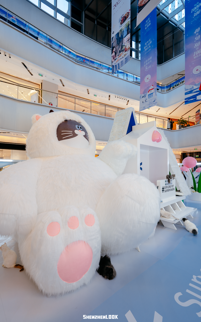 “这可能是深圳最热闹的周末，攻略准备好了”