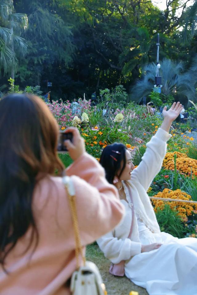 行摄 | 美爆了！秋日花海，限时上映