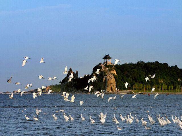郑州出发去看海，适合8-9月出行的12个海滨城市！