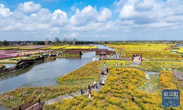 秋声渐杳 斑斓成诗