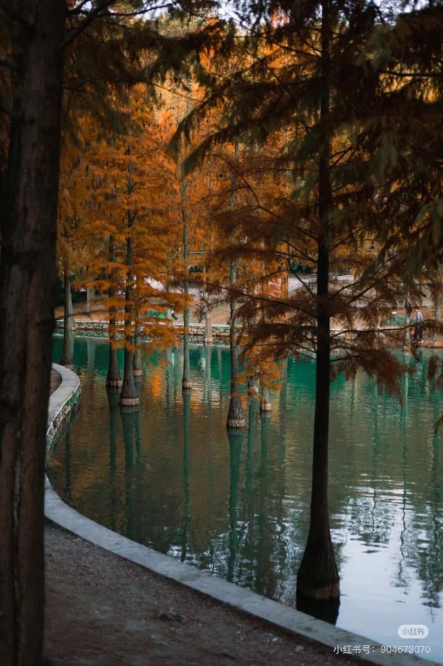 航旅融合 | 抽免费机票，来三明欣赏不一样的初冬景色！